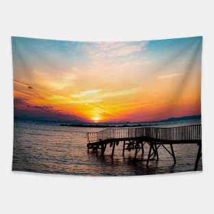 Photography - Last sunset in Japan Tapestry