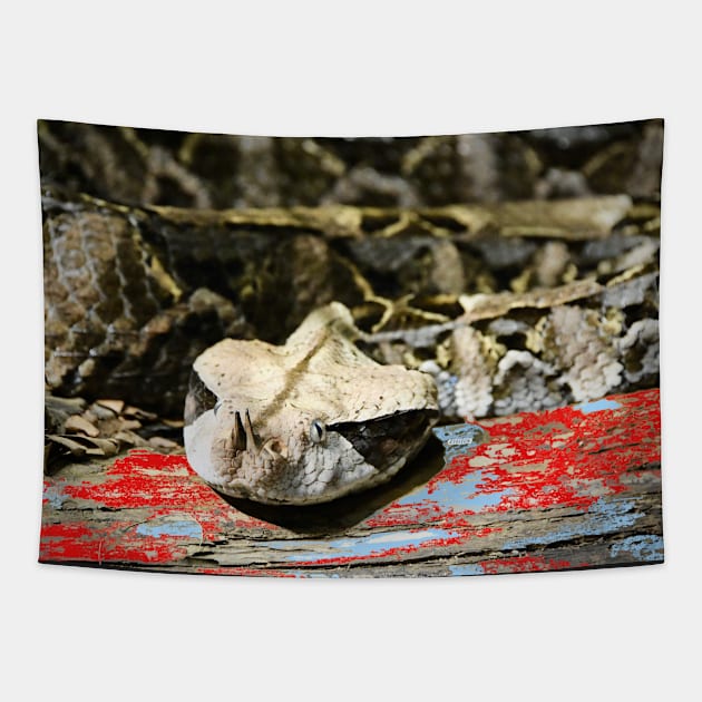 Schlange / Swiss Artwork Photography Tapestry by RaphaelWolf