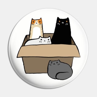 Cats in a Box Pin