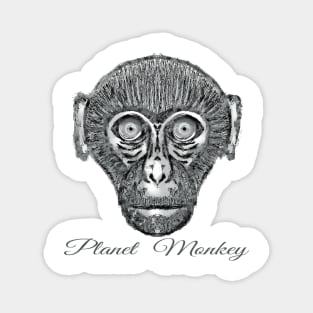 Bored Ape on Planet Monkey Magnet