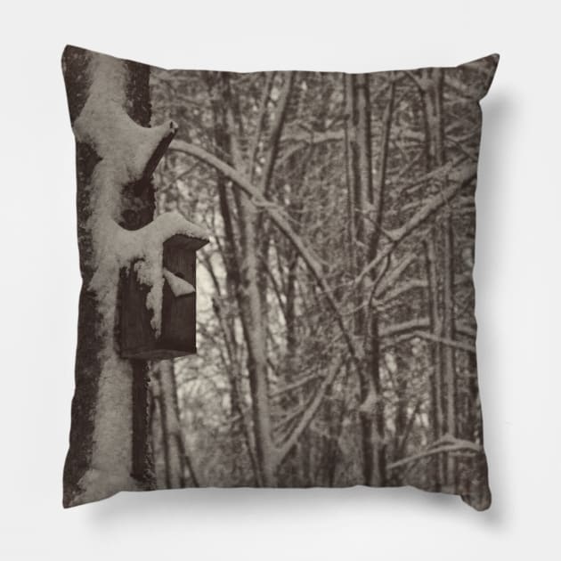 Bird feeder on a tree in winter Pillow by EvgeniiV