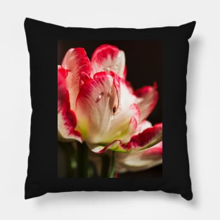 Parrot Tulip Pillow