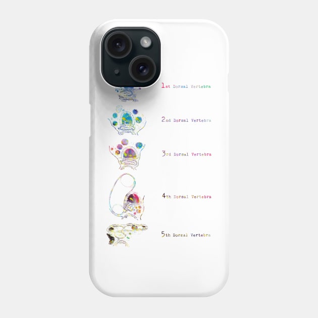 Trachea Transverse Section Phone Case by erzebeth