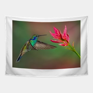 Green Violetear Hummingbird Tapestry