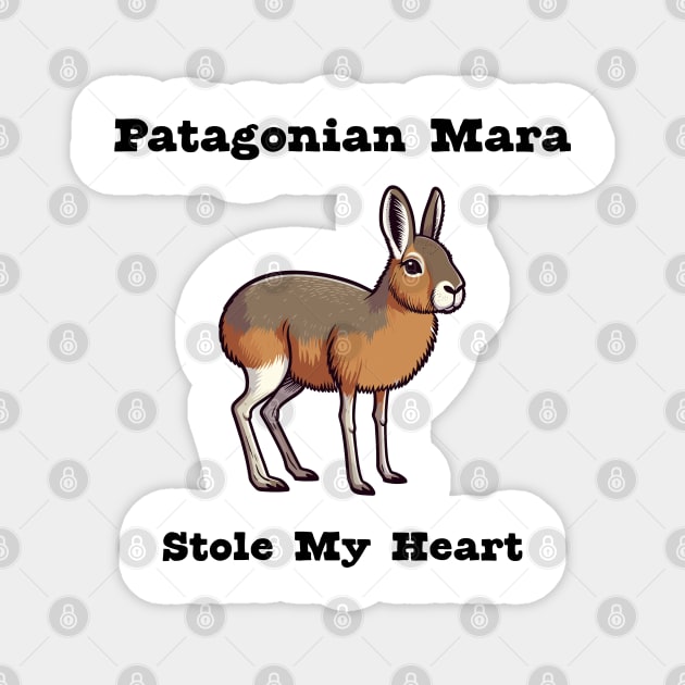 Patagonian Mara Magnet by dinokate