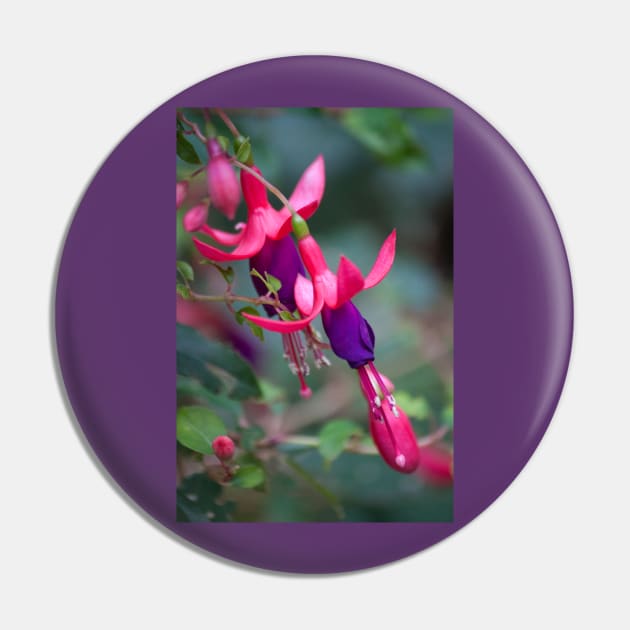 Purple and Pink Bell Pin by Jacquelie