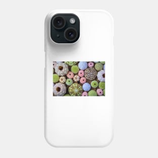 Many Colorful Sea Urchins Phone Case