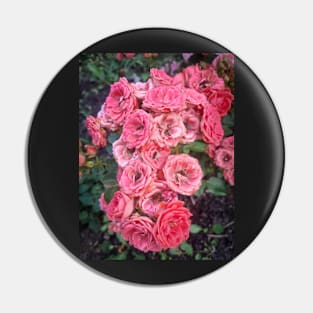 Pink Roses Pin