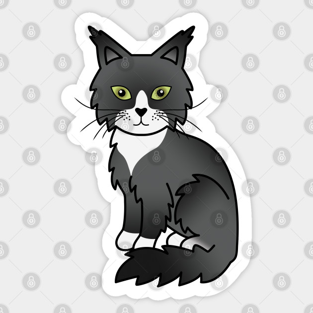 Black And White Maine Coon Cat Cute Cartoon Illustration Maine