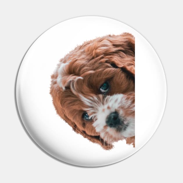 Puppy Peekaboo Pin by Studio-Sy