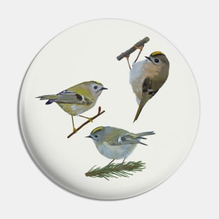 Kinglets Pin