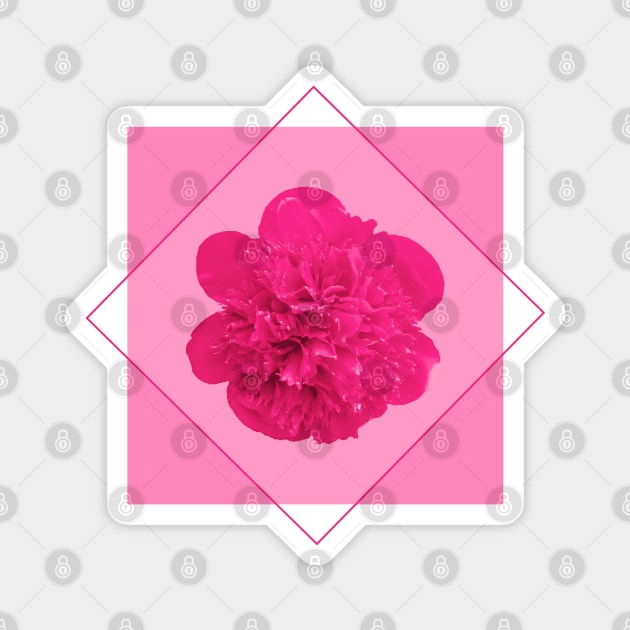 Pink Peony Flower in a Diamond Design Magnet by Treetop Designs