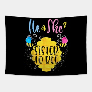 Gender Reveal For Sister Tapestry