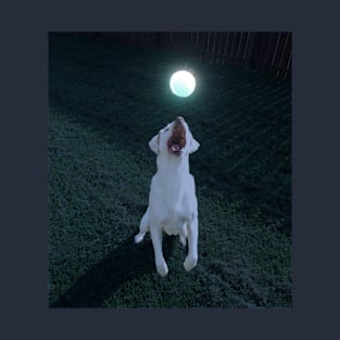 Dog playing glow ball T-Shirt