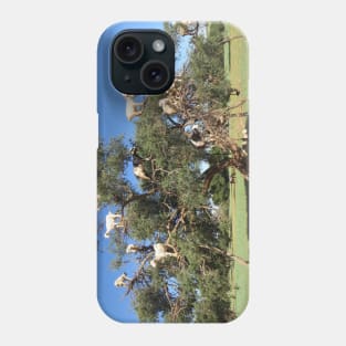 Goats in trees Phone Case