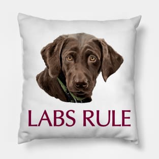 Chocolate Labs Rule Pillow