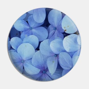 blue leafs flowers plant Pin