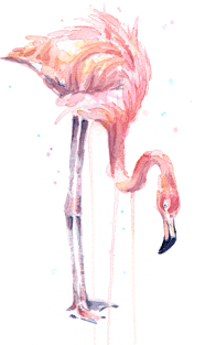 Flamingo Painting Watercolor Magnet