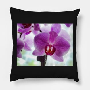 Purple Orchids Pillow