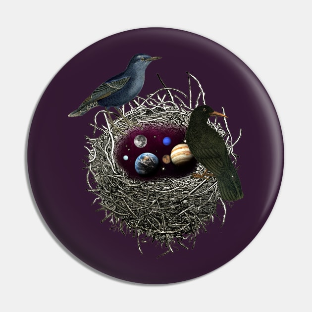 NEST Pin by GloriaSanchez