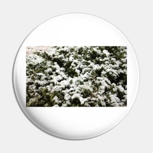 Snow Bush Pin