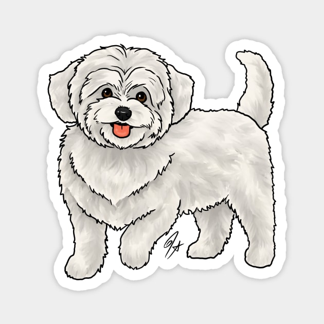 Dog - Maltipoo - White Magnet by Jen's Dogs Custom Gifts and Designs