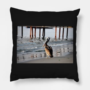 Pérou - Paracas, Pélican Pillow