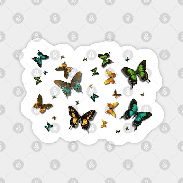 Beautiful Butterflies Butterfly Beauty Magnet by PlanetMonkey