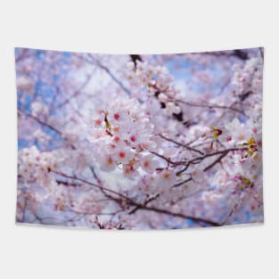 SCENERY 35 - White Blooming Flower Blue Sky Tapestry