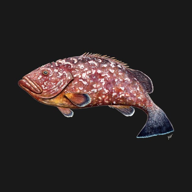 Dusky grouper by chloeyzoard