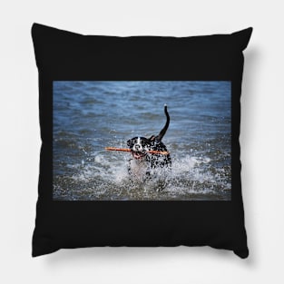 Dog Days Of Summer Pillow