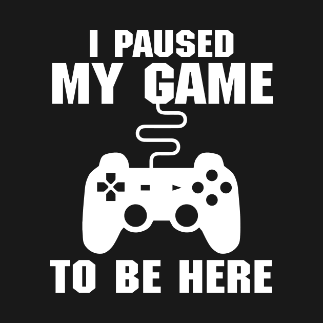 I Paused My Game To Be Here (Videogames) by fromherotozero