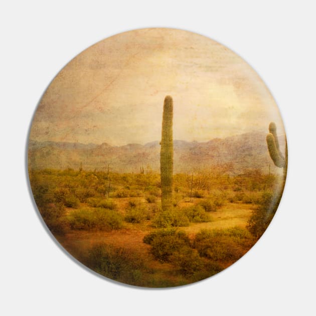 Desert Haze Dayz... Pin by Susan Werby