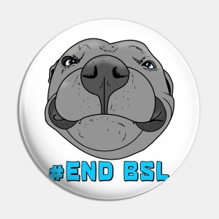 #End BSL Pin