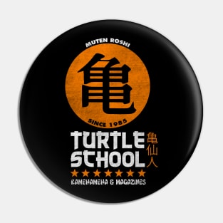 Turtle School Pin