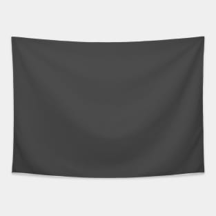 Solid Dark Grey Tapestry