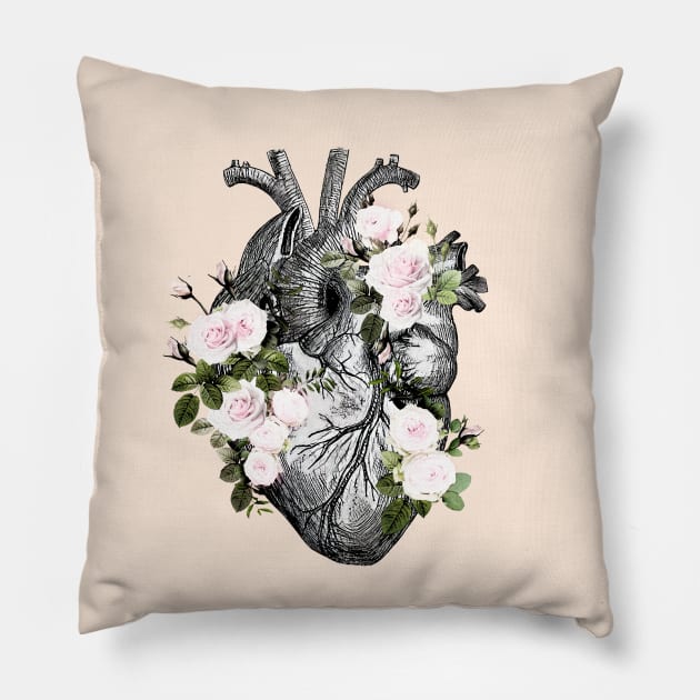 Human heart and roses, anatomy illustration art, lightpink roses and leaves Pillow by Collagedream