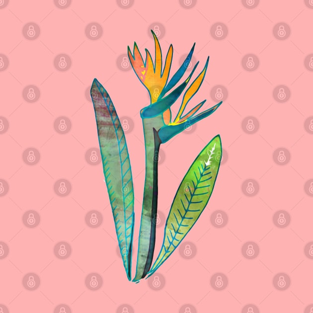 Bird of Paradise Flower by bruxamagica