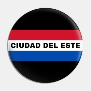 Ciudad del Este in Paraguay Flag Colors Pin