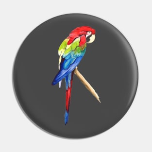 Parrot Pin