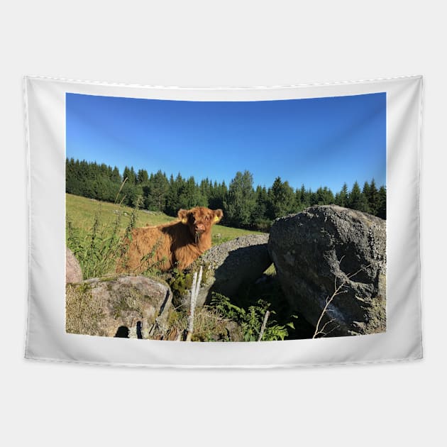 Scottish Highland Cattle Calf 1492 Tapestry by SaarelaHighland