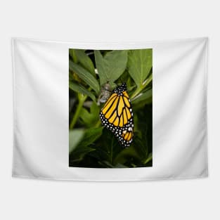 Monarch Butterfly 1 Tapestry