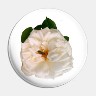 rose by any other name would be just as sweet - Roses Nature single white rose Flower save the bees Pin