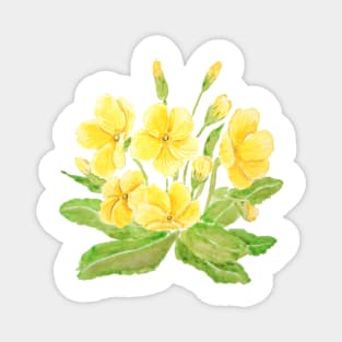 yellow Primula flowers  watercolor painting Magnet