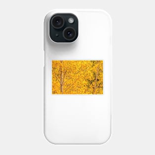 Gold Aspen Coins Phone Case