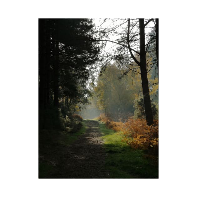 Forest Path in Fall by jamesknightsart