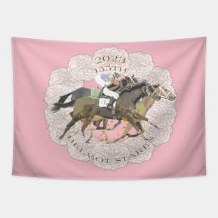 155th Belmont Stakes 2023 Tapestry