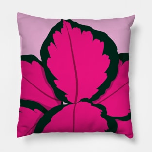 Calathea Crimson Pillow