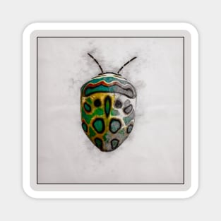 Picasso Bug sketch Magnet