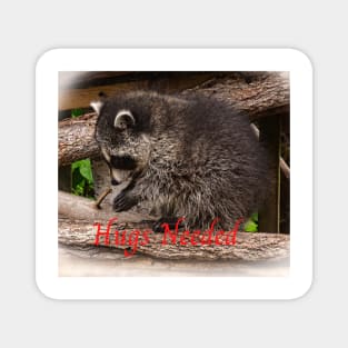 Raccoon Hugs Magnet